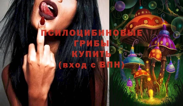 индика Богданович